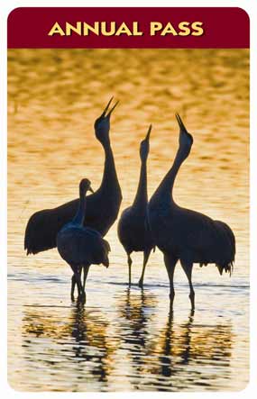 Passe parcs americains